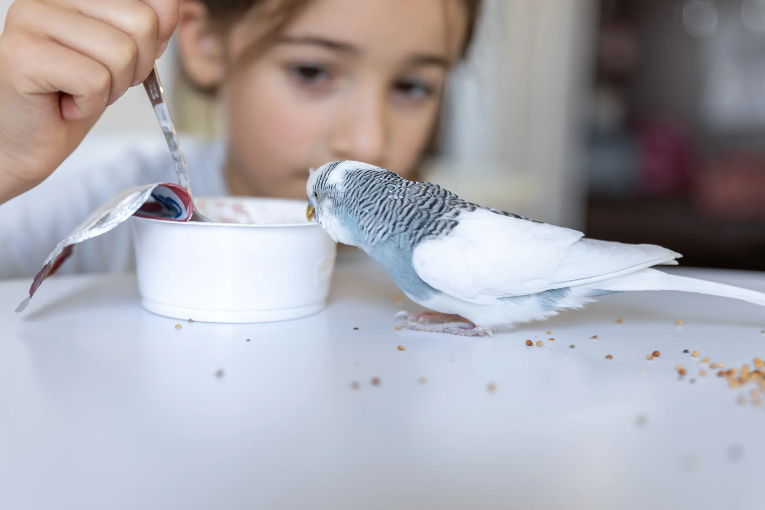 Feeding Habits of Birds